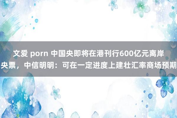 文爱 porn 中国央即将在港刊行600亿元离岸央票，中信明明：可在一定进度上建壮汇率商场预期